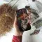 Bleach Anime Ichigo Kurosaki Phone Case iPhone Samsung Pixel & More - Image 2