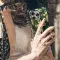 Brigid's Cross Phone Case iPhone Samsung Cover Pixel 3410 - Image 5