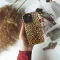 Call of the Gilded Wild Phone Case iPhone Samsung Cover Pixel 6670 - Image 4