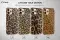 Cheetah Print Phone Case Animal Leopard Leon Cover - Image 1