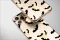 Clear Gothic Bat Swarm Lunar Night Phone Case iPhone Samsung Cover Pixel 7381 - Image 4