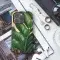 Cubist Zamioculcas Phone Case iPhone Samsung Cover Pixel 3776 - Image 3