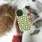 Daisy Checkered Phone Case iPhone Samsung Pixel & More 416 - Image 2