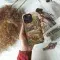 Dinosaur Phone Case iPhone Samsung Cover Pixel 1704 - Image 4