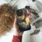 Dragons Fiery Flight Phone Case iPhone Samsung Cover Pixel 4819 - Image 4