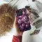 Flower Floral Phone Case iPhone Samsung Pixel & More #530 - Image 2