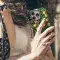 Fruit Pomegranate Floral William Phone Case iPhone Samsung Pixel & More - Image 4