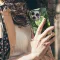 Green lime iPhone 16 Pro Max Phone Case - Image 4
