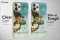 Sandro Botticelli Aesthetic Renaissance iPhone 16 Pro Max Phone Case - Image 5