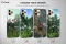 Henri Rousseau Aesthetic Famous Painting iPhone 16 Pro Phone Case - Image 1