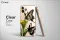 iPhone 5s Butterfly Clear Aesthetic Spring Phone Case - Image 3