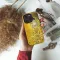 The Woman In Gold Gustav iPhone SE 2022 Phone Case - Image 2
