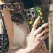 iPhone X Fruit Pomegranate Floral William Phone Case - Image 4