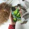 Kiwi Sherbet Phone Case iPhone Samsung Cover Pixel 2941 - Image 4