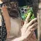 Kiwi Sherbet Phone Case iPhone Samsung Cover Pixel 2941 - Image 5