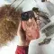 Pig with Bird Nest Phone Case iPhone Samsung Pixel & More 270 - Image 2