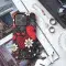 Red Hearts & Daisies
 Phone Case iPhone Samsung Cover Pixel 5524 - Image 3