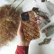 Rustic Terracotta Tile Mosaic Phone Case iPhone Samsung Cover Pixel 6214 - Image 4