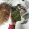 Seamless Green Leaf Phone Case iPhone Samsung Pixel & More 344 - Image 2