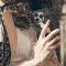 White Cat Book Shelf Phone Case iPhone Samsung Cover Pixel 3618 - Image 5