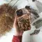 Woodland Camouflage Phone Case iPhone Samsung Cover Pixel 2544 - Image 4